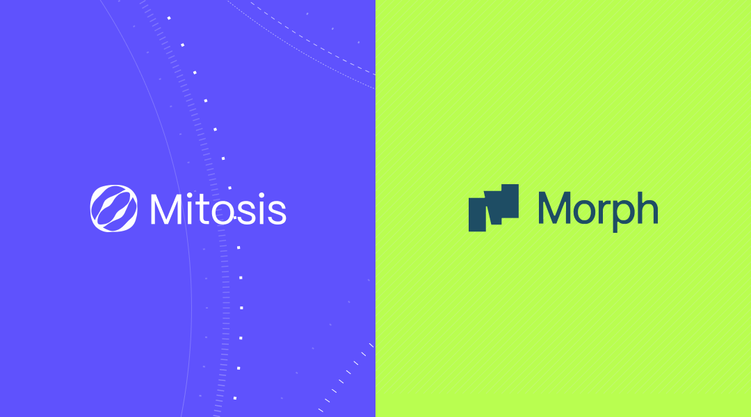 Zootosis Matrix Vaults on Morph Network